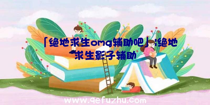 「绝地求生omg辅助吧」|绝地求生影子辅助